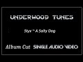Styx ~ A Salty Dog (Procol Harum cover) ~ 2005 ~ Single Audio Video