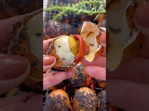 This is how they eat eggs in China 😱