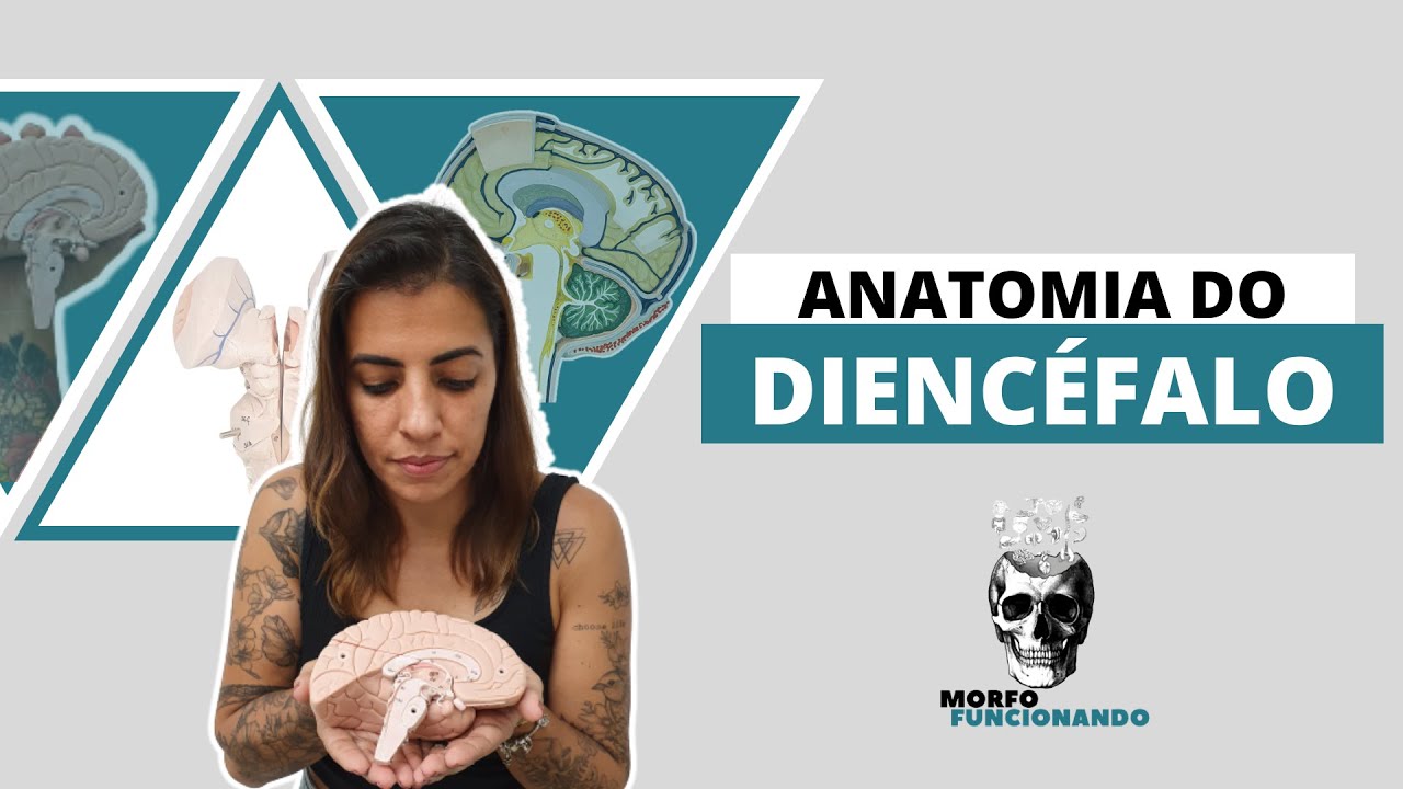 ANATOMIA MACROSCÓPICA DO CÉREBRO I - DIENCÉFALO #7
