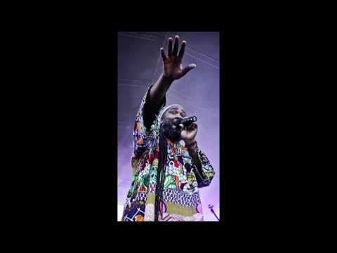 Mighty Howard & Earthikal Towa - Lion Paw + Dub Vibronics (Official Video)