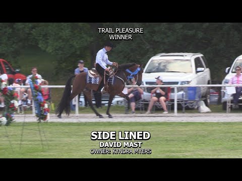 SIDELINED - 2020 CHRISTMAS IN JULY