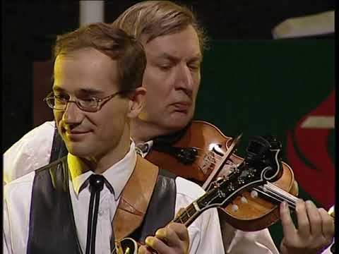 Robirohi kontsert 2007