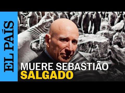 Muere Sebastião Salgado, el fotógrafo que documentó la Amazonia y denunció las injusticias contemporáneas