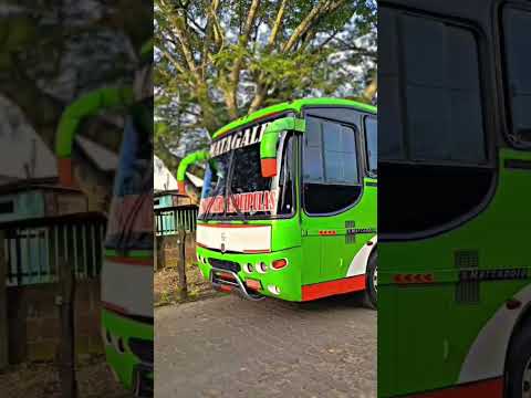 Transporte San Pedro, Esquipulas Matagalpa #buses #rutasypaisajes  #trailer