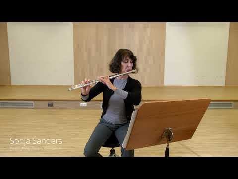 Querflöte "Romance" - Eugene Walckiers (D1)