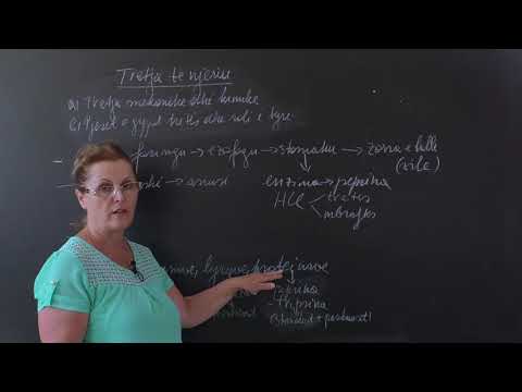 BIOLOGJIA 10 - Gypi ushqimor dhe përthithja