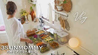 【作り置き18品】1週間をラクにする簡単レシピ | 夏野菜を使った家庭料理 | 下ごしらえと冷凍ストック