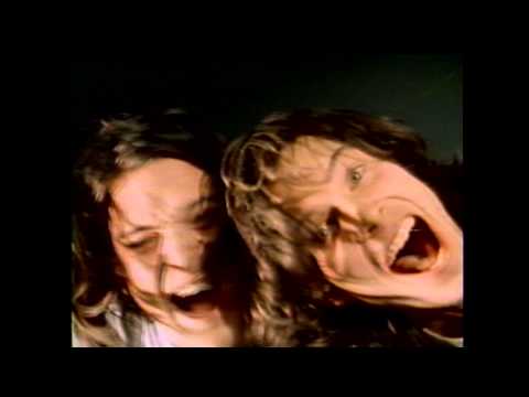 Run Westy Run - Starlight