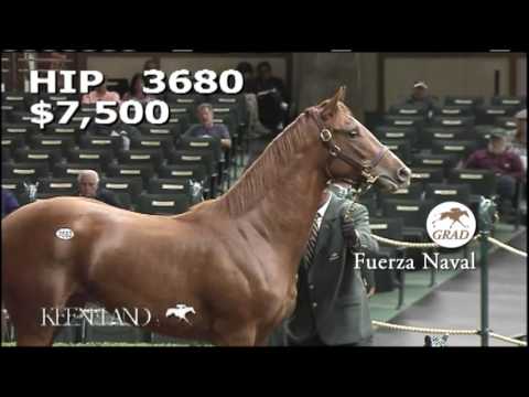 Fuerza Naval as a Keeneland September Yearling