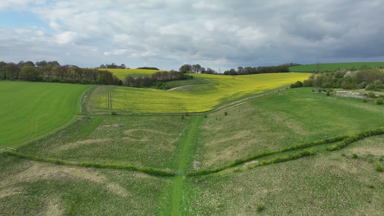 WildPosh drone orthomosaic