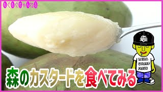 [食べ方解説] 森のアイスクリームと呼ばれるチェリモヤを食べてみる