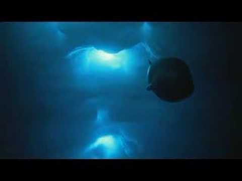 Encounters At The End Of The World (2008) Trailer