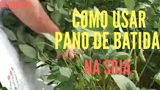 COMO USAR O PANO DE BATIDA NO MONITORAMENTO DE PRAGAS NA SOJA