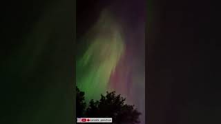 🇨🇦自宅でオーロラ|アルバータ州|2025年最強オーロラだった #asmr #northernlights #aurora