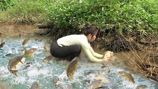 The girl discovered an abandoned lake, She used a pump to drain the water, Catch a lots of big fish