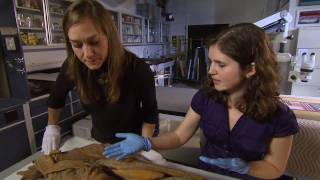 Contemporary Art Conservation at Smithsonian's Hirshhorn Museum