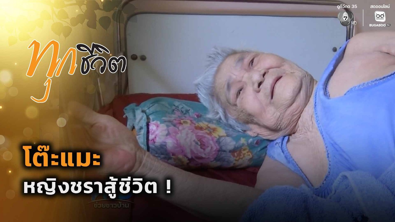 โต๊ะแมะ หญิงชราสู้ชีวิต ! | ทุกชีวิต