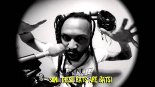 THE KNUTZ - BBBATZ - Live at The Knutz&#39;s Studio