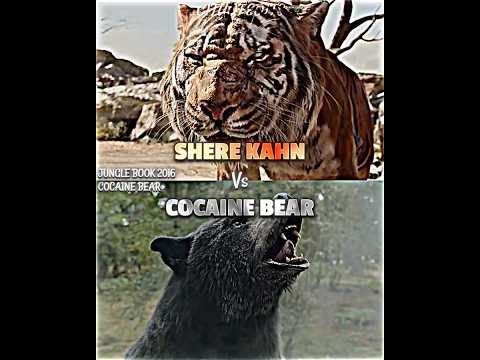 Shere Kahn vs Cocaine Bear #junglebook2016 #cocainebear #vsedit #vsbattle #sherekhan #junglebook