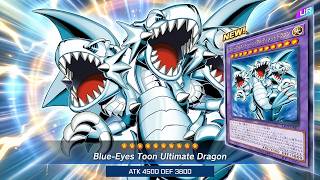 PEAGASUS IS BACK! The New Toon Support is Actually Insane
