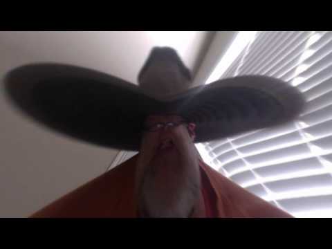 Schräg wishes Lynelle happy birthday 2017