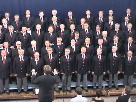 In einem kühlen Grunde, Männerchor Liederkranz Heidelberg-Rohrbach, Leitung: Manfred Bühler