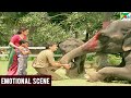 Main Tera Dushman Emotional Scene 2 Jackie Shroff Jaya Prada Sunny Deol Sridevi