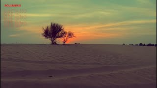 SOULNIDUS - OPENING SCENE (Official Lyric video)