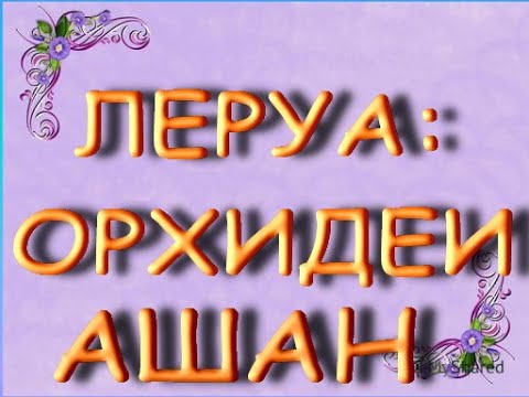 ЛЕРУА,Ашан:ЗАВОЗ чудесных ОРХИДЕЙ,пелорик ТОРИНО,26.03.21,ТЦ "Космопорт",Самара.