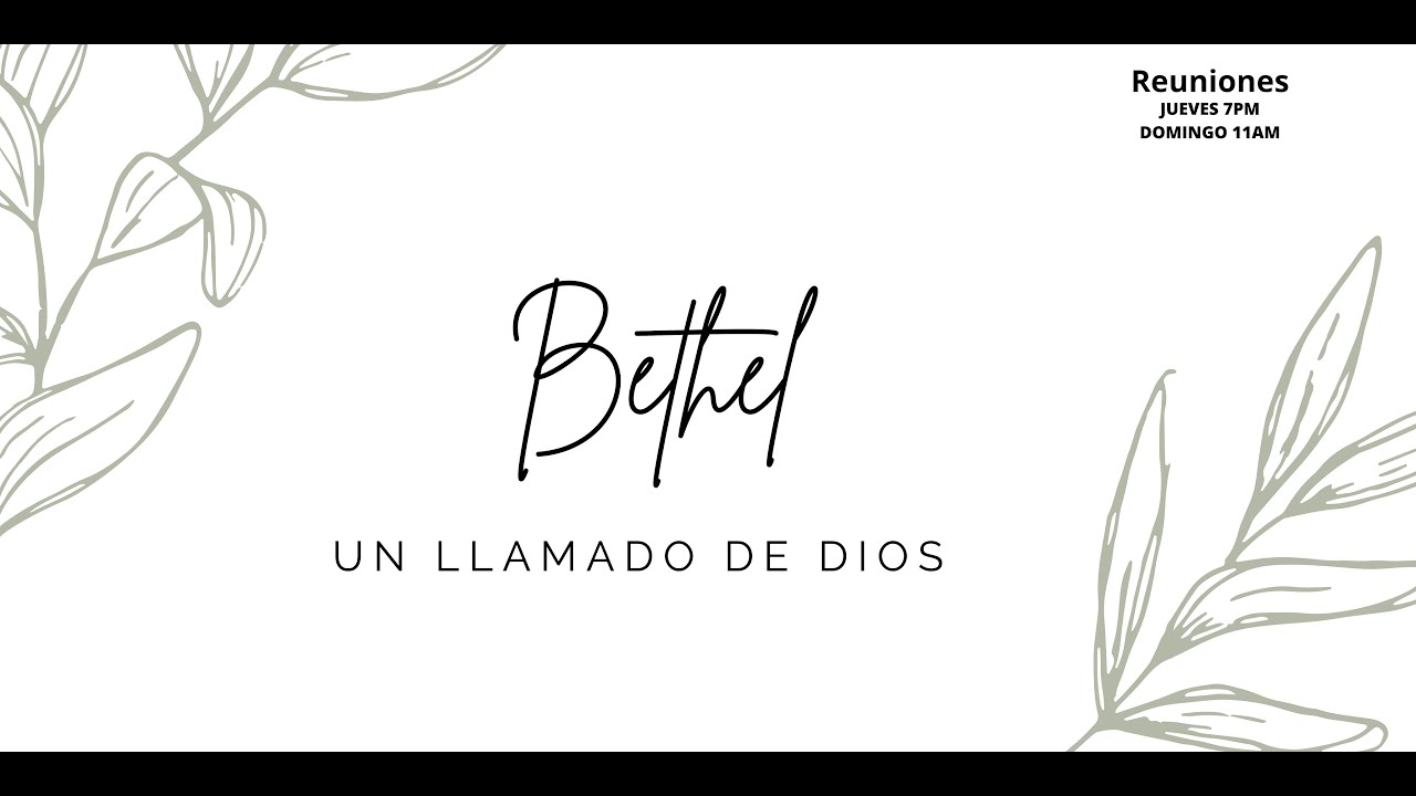 EBV 2024 Dia 8 Lapso 1