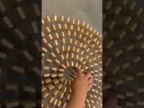 自撮りドミノ:博物館に20万ドルの損害