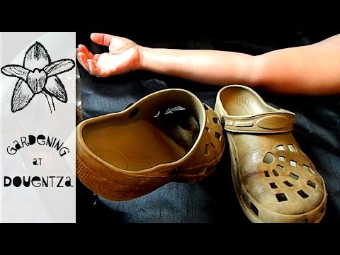 Fifty Shades Darker - gardener's spoof version