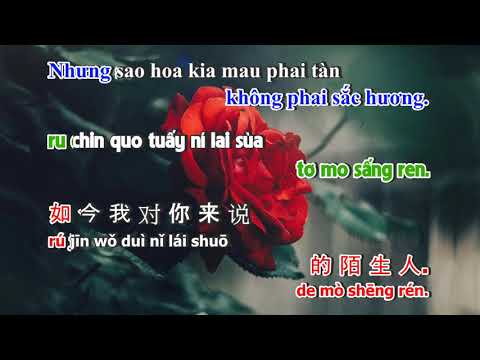 Karaoke Nụ Hồng Mong Manh Tone Nữ - Karaoke Nhạc Hoa Lời Việt Song Ngữ | HOA VIỆT KARA