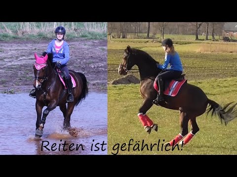 Reiten ist gefährlich...und trotzdem lieben wir diesen Sport!