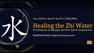 Healing the Zhi Water: Five Element Archetypes and Five Spirits Acupuncture