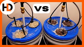 Perlite vs. Coco Coir: The Ultimate Grow Off