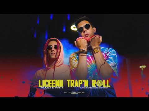 Amuly & PRNY - Pustiu' feat. Domnul Udo (Audio)