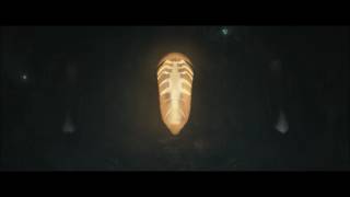 K Nass & Rafa'EL - Distant Embers (Original Mix) [Movement Recordings]