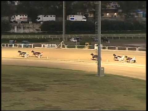 Trotto 04/09/2014 - 1° prova di qualifica