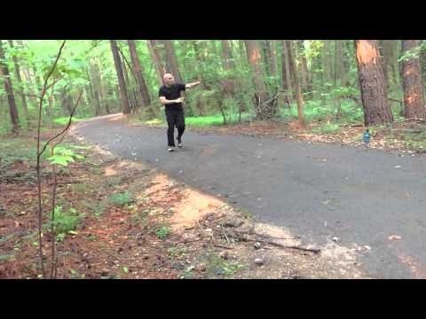 Gao Bagua 1st Preheaven Palm- Insert turn over body/Double Palm change/Stop Body