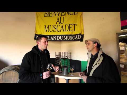 Muscadet 2013 - Sélection Avril 2014 - Vinattendu