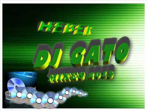 CUMBIA-VILLERA-MIX-AGOSTO-2013-DJ-GATO-PRUEBA-DISCOTECA