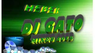 CUMBIA-VILLERA-MIX-AGOSTO-2013-DJ-GATO-PRUEBA-DISCOTECA