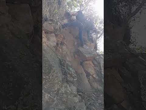 .. mis batallas.. saludos cordiales desde zacualpa Quiche Guatemala...