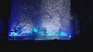 Grizzly Bear - Four Cypresses (Live)