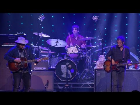 Taste the Ceiling - Wilco