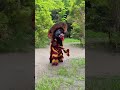 Barongan Kejebur Got Wkwkw Like Dan Subscribe Ya