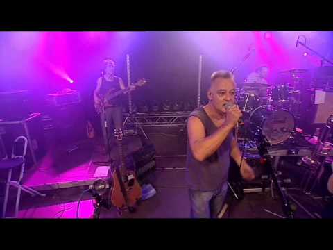 Grachmusikoff - Dame oder Schwein