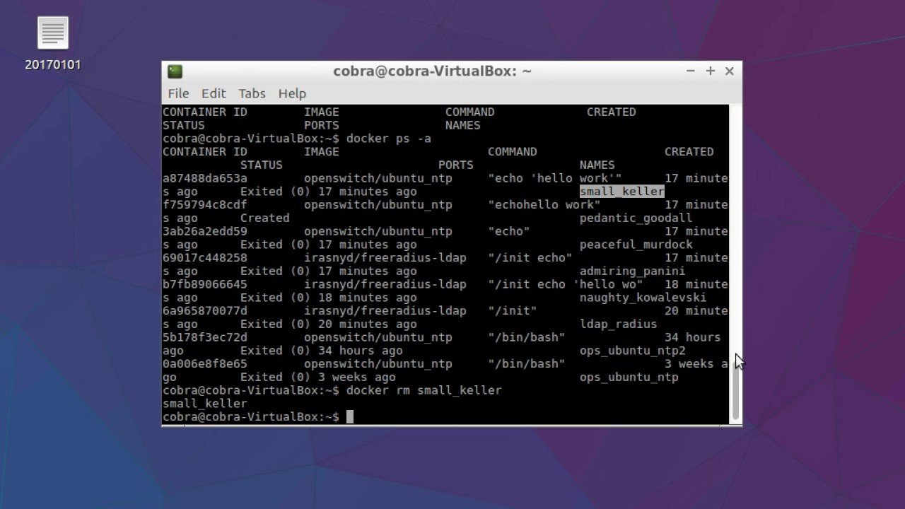 04. Remove one or more docker container