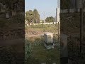 R Kumar Sanu Sort Video